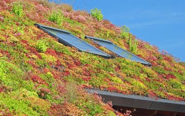 Rapness living roof systems