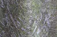 Rapness fibreglass roof work